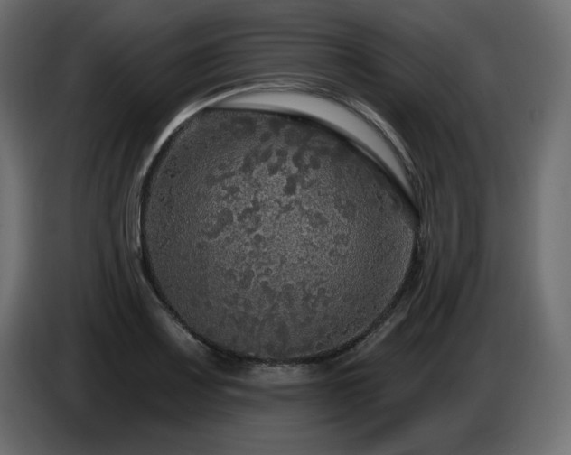 X0000086731083200704131101