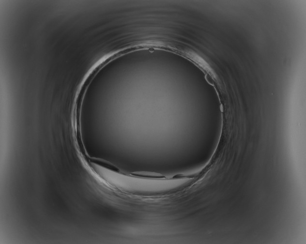 X0000086731084200704131101