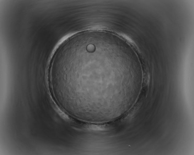 X0000086731086200704131101