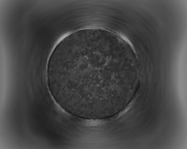 X0000086731087200704131101