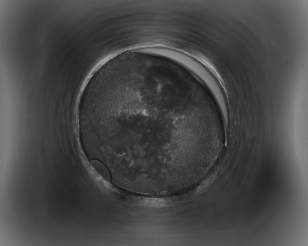 X0000086731088200704131101