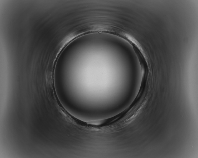 X0000086731089200704131101