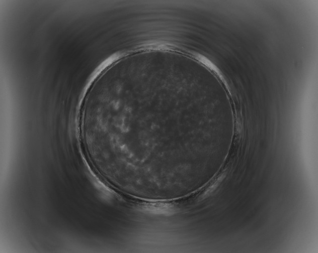 X0000086731090200704131101