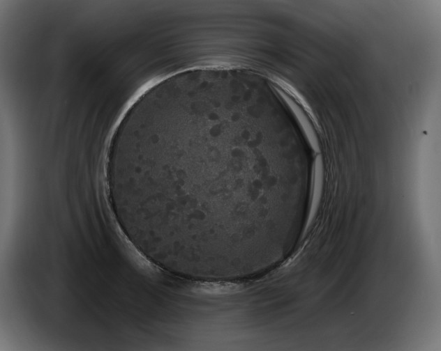 X0000086731091200704131101