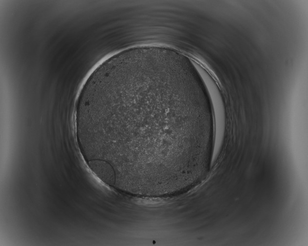 X0000086731092200704131101
