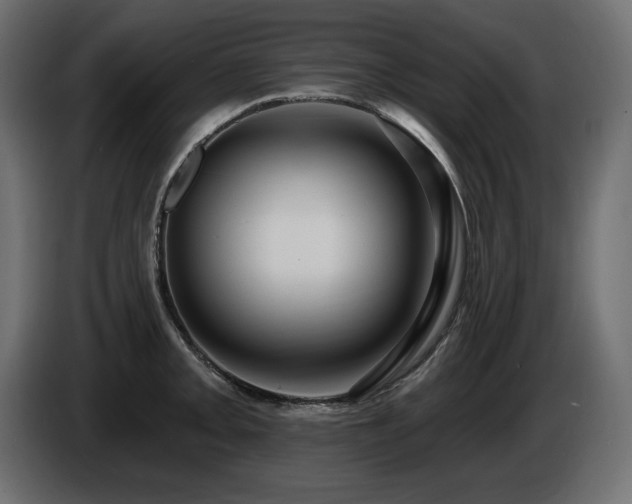 X0000086731093200704131101