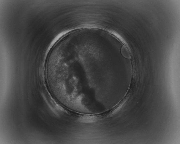 X0000086731094200704131101