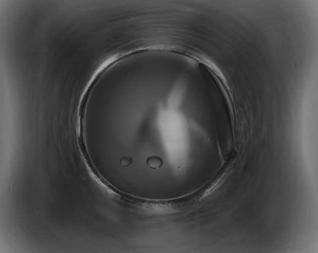 X0000086731095200704131101