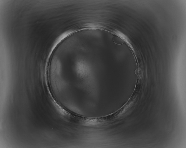 X0000086731098200704131101