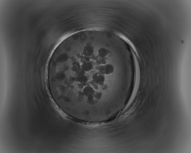 X0000086731099200704131101