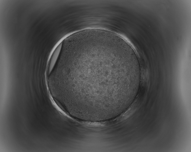 X0000086731100200704131101