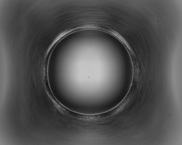 X0000086731101200704131101