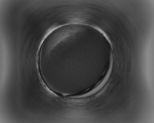 X0000086731102200704131101