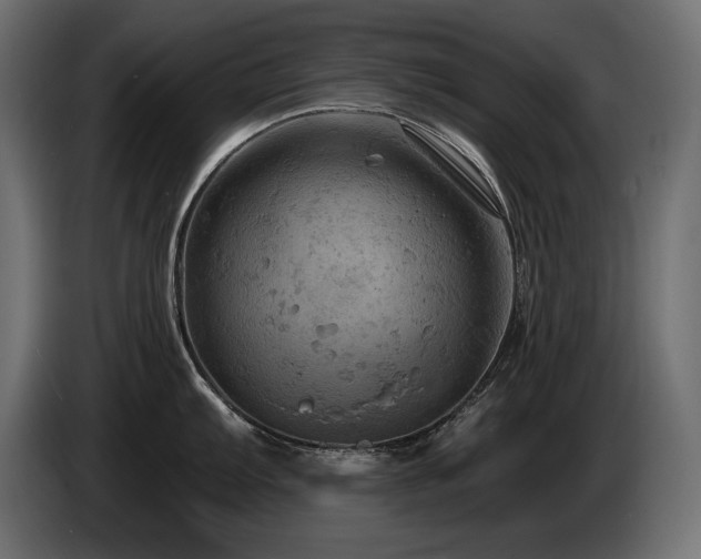 X0000086731103200704131101