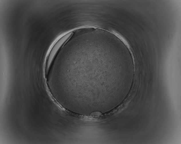 X0000086731104200704131101