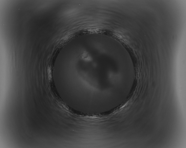 X0000086731106200704131100