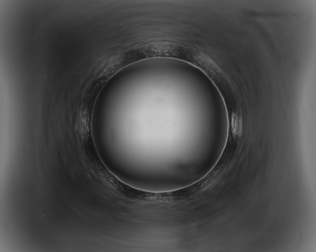 X0000086731107200704131100