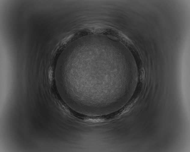 X0000086731108200704131100