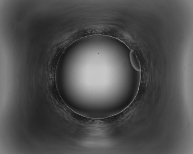 X0000086731109200704131100