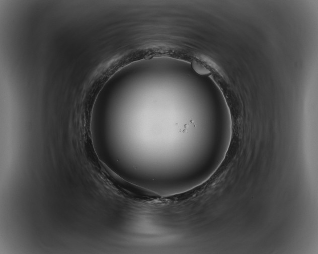 X0000086731111200704131100