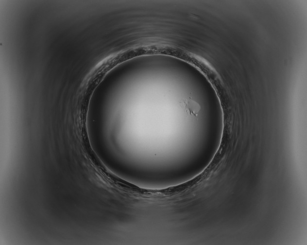 X0000086731112200704131100