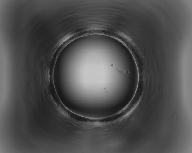 X0000086731113200704131100