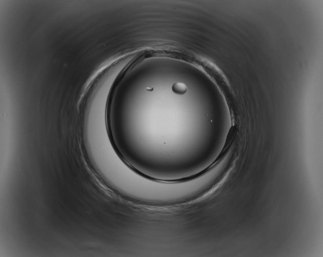 X0000086731114200704131100