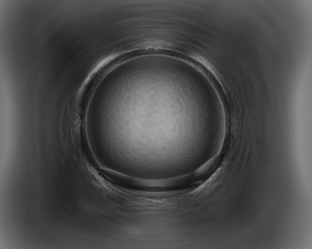 X0000086731115200704131100