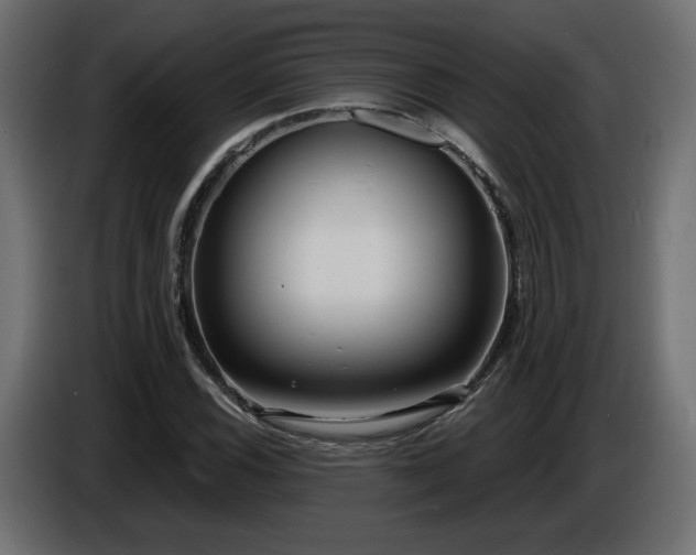 X0000086731116200704131100