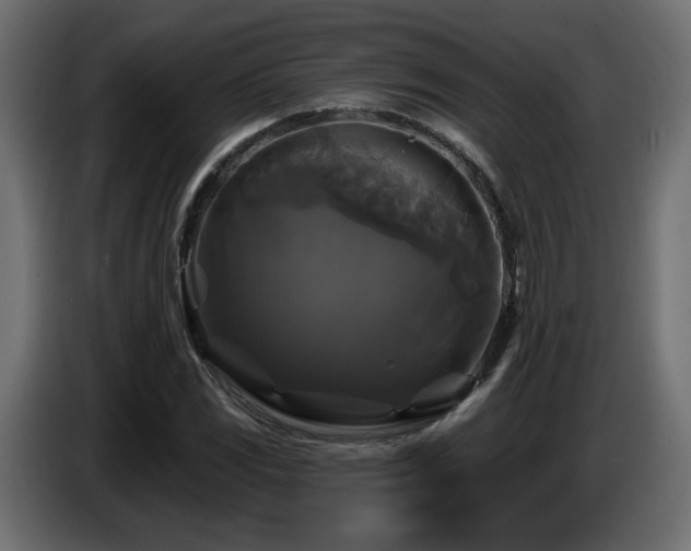X0000086731117200704131100