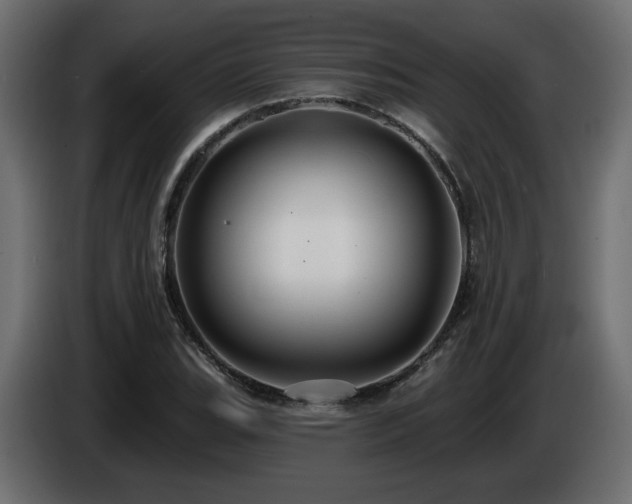 X0000086731119200704131100
