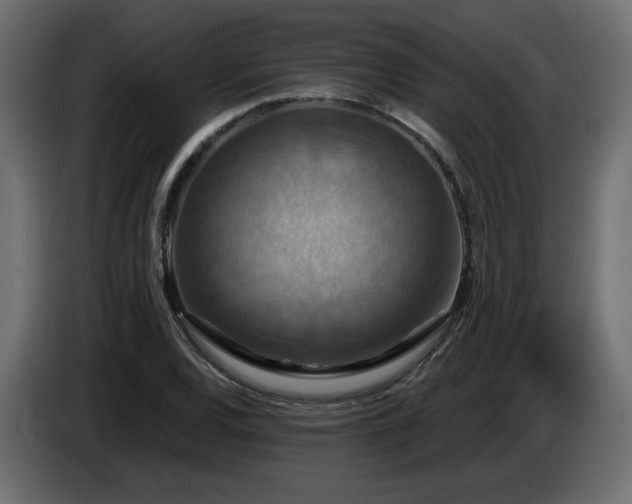 X0000086731120200704131100