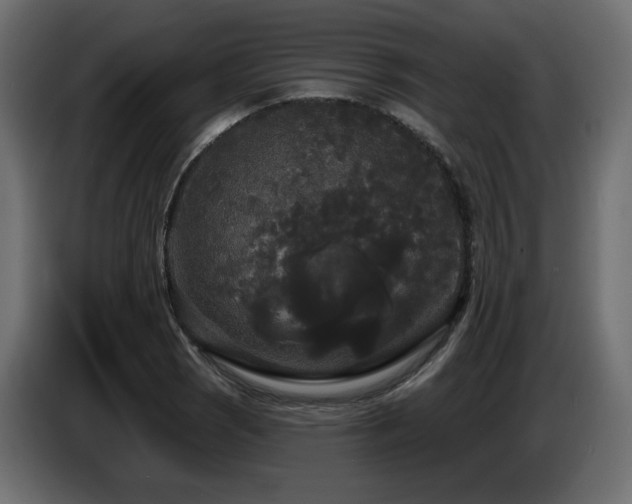 X0000086731121200704131100