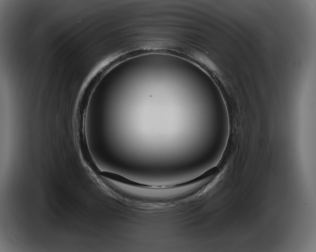 X0000086731122200704131100