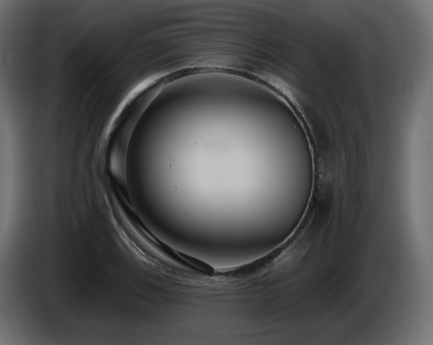 X0000086731123200704131100