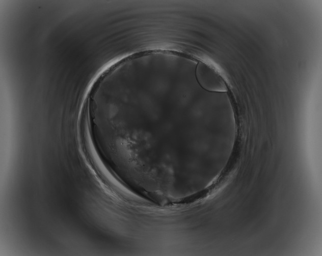 X0000086731125200704131100