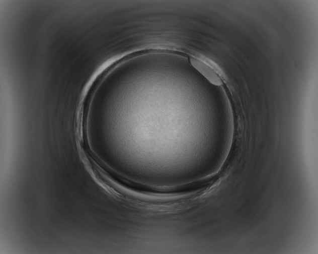 X0000086731128200704131100