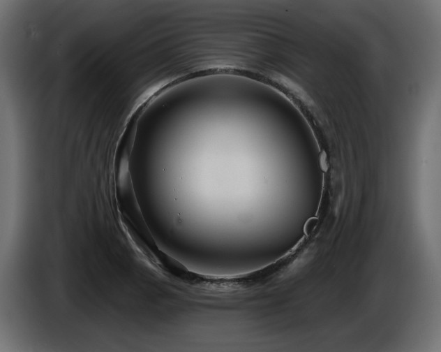X0000086731129200704131100