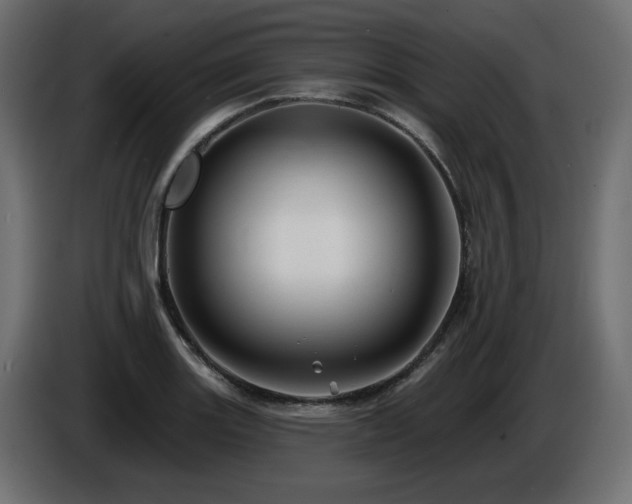 X0000086731131200704131100