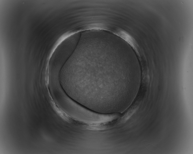 X0000086731132200704131101