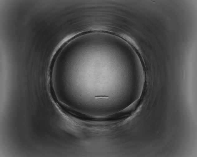 X0000086731133200704131101