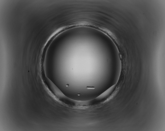 X0000086731134200704131101