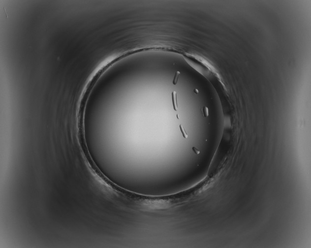 X0000086731135200704131101