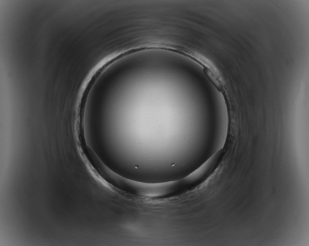 X0000086731136200704131101