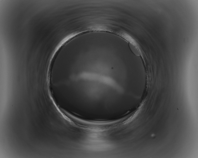 X0000086731141200704131101