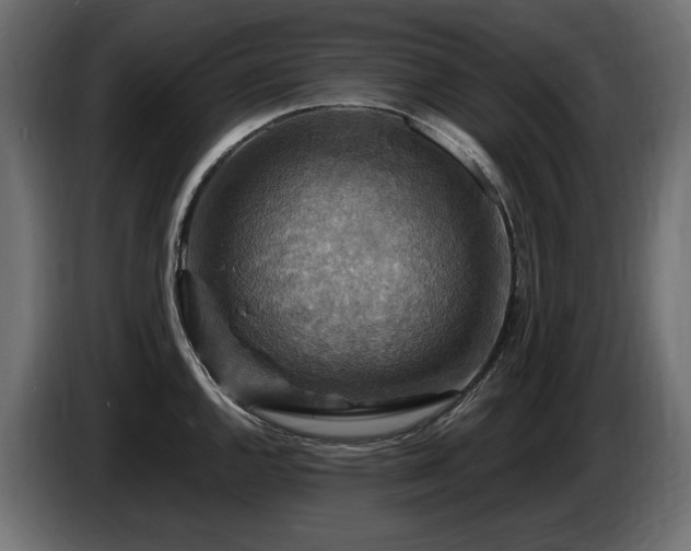 X0000086731144200704131101