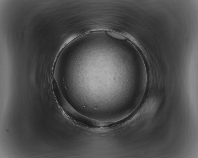 X0000086731145200704131101