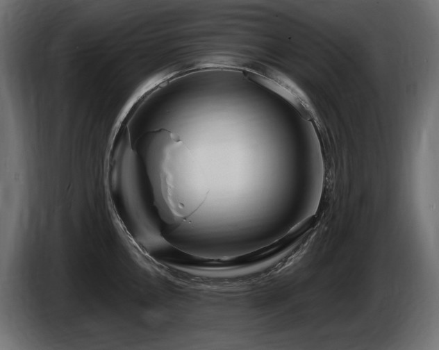 X0000086731146200704131101