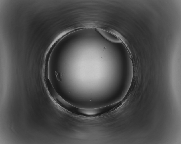 X0000086731147200704131101