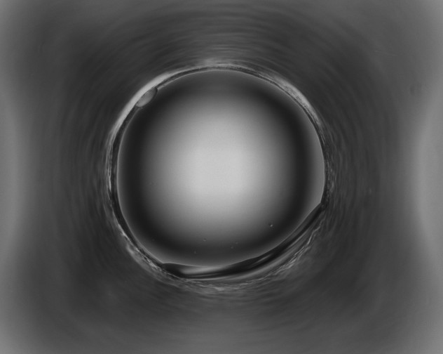 X0000086731148200704131101